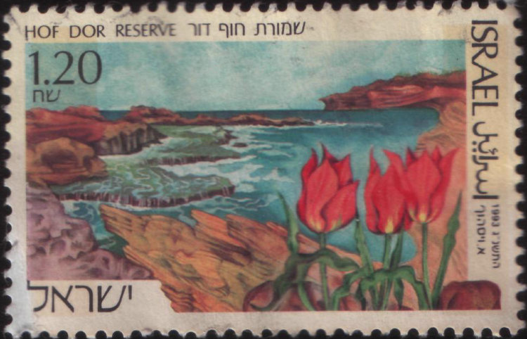 Почтовая марка Израиля 34