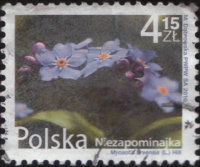 Почтовая марка Польши "Цветок" (2010)
