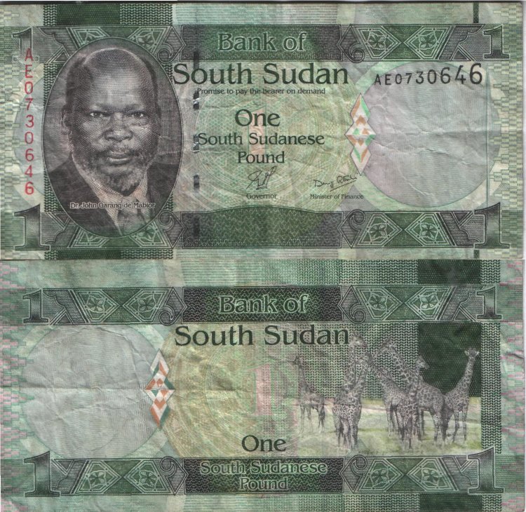 1 фунт Южный Судан (2011) XF SS-1 