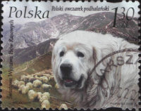 Почтовая марка Польши "Собака" (2008)