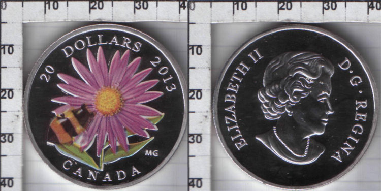 20 долларов Канада "Шмель на цветке" (2012) UNC КОПИЯ Цветная