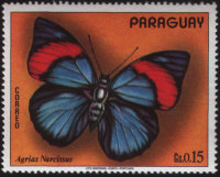 Марка Парагвая "Бабочка нарцисс" (ND) CTO