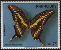 Марка Парагвая "Бабочка - Парусник тоас" (ND) CTO