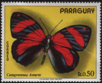 Марка Парагвая "Бабочка - Catagramma astarte" (ND) CTO