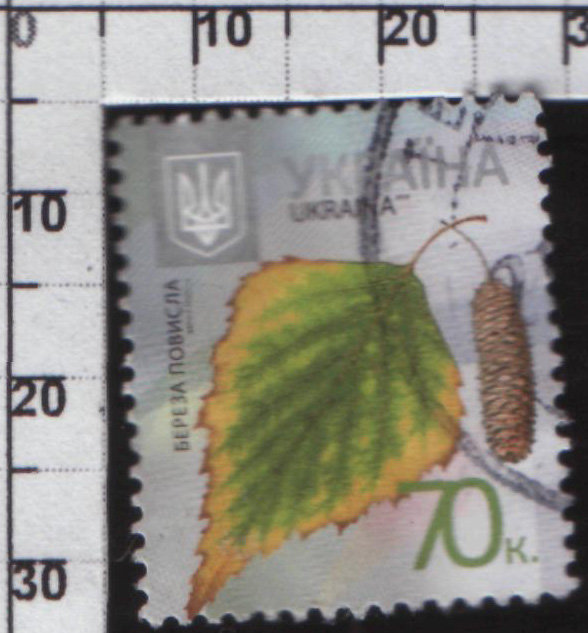 Почтовая марка Украины "Береза повисла" XF