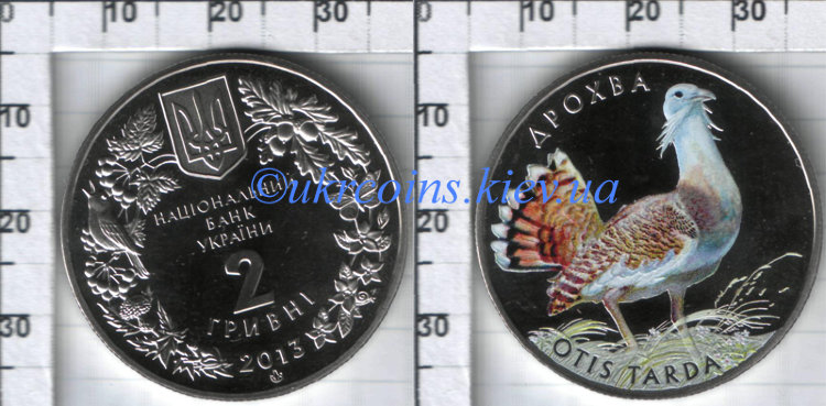 Памятная монета "Дрохва" 2 гривны (2013) UNC