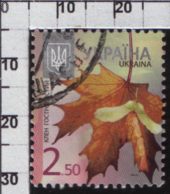 Почтовая марка Украины "Клен" XF
