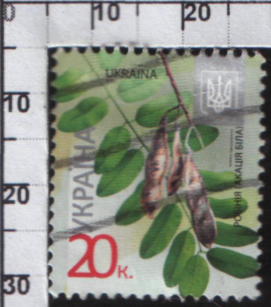 Почтовая марка Украины "Акация" XF